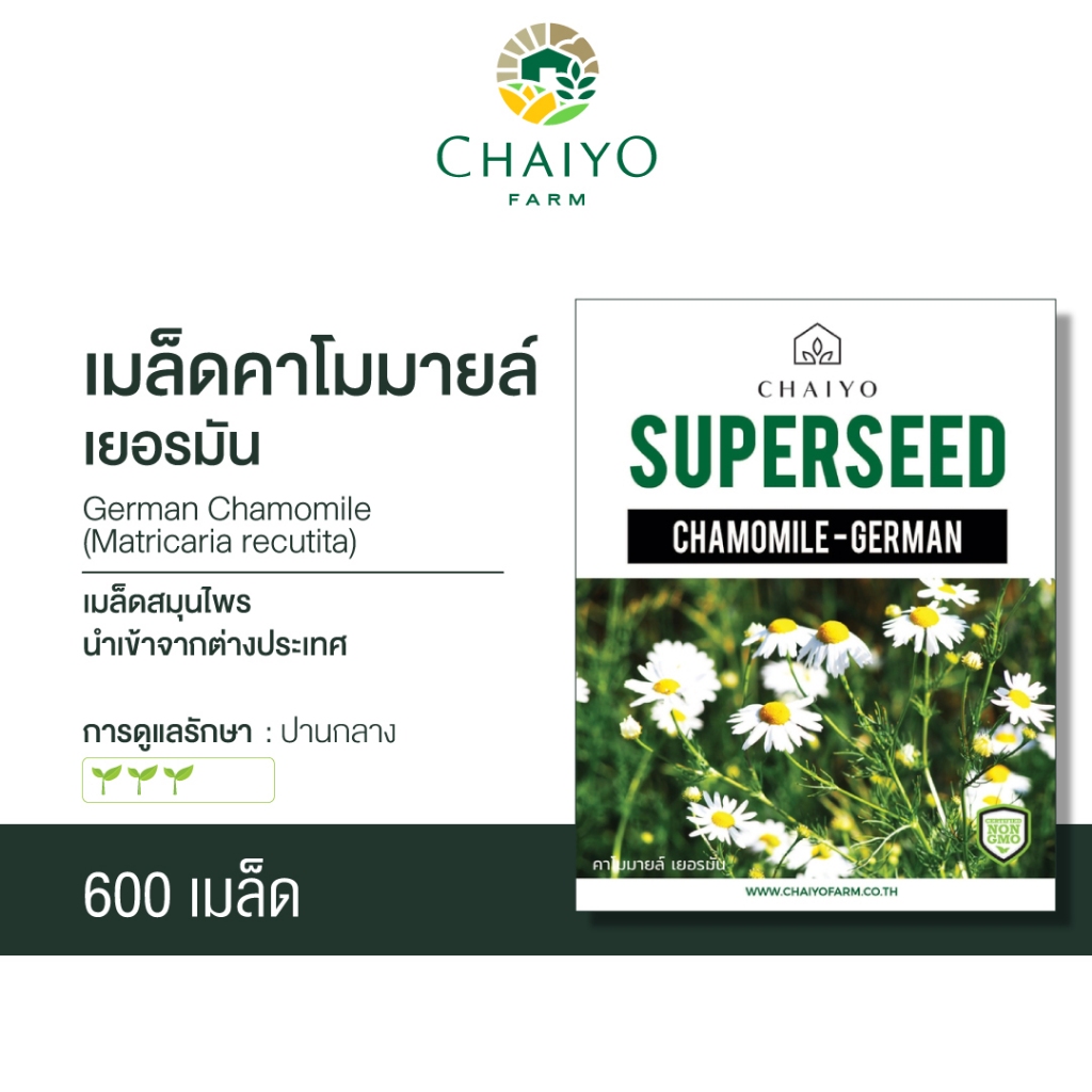 เมล็ด-german-chamomile-matricaria-recutita-คาโมมายล์-เยอรมัน