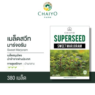 เมล็ด SWEET MARJORAM สวีท มาร์จอรัม