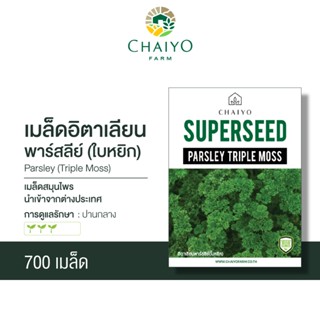 เมล็ด Parsley (Triple Moss) อิตาเลี่ยนพาร์สลีย์(ใบหยิก)