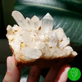 ผลึกควอตซ์คลัสเตอร์ธรรมชาติ(Quartz Cluster)​