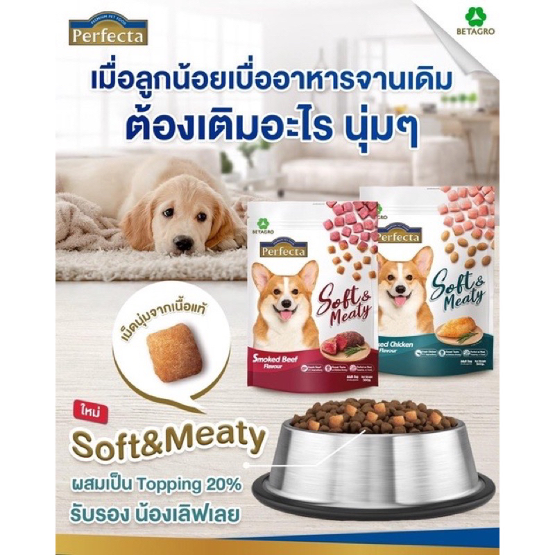 Perfecta Soft & Meaty Dog Food ️🐶 เพอร์เฟคต้า ซอฟท์ แอนด์ มีตตี้ อาหาร ...