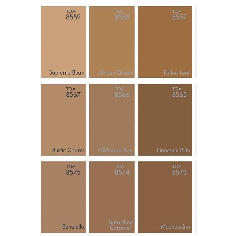 TOA 4SEASON สีโทนน้ำตาล สไตล์คาเฟ่ มินิมอล (กึ่งเงา 1แกลอน) | Shopee ...