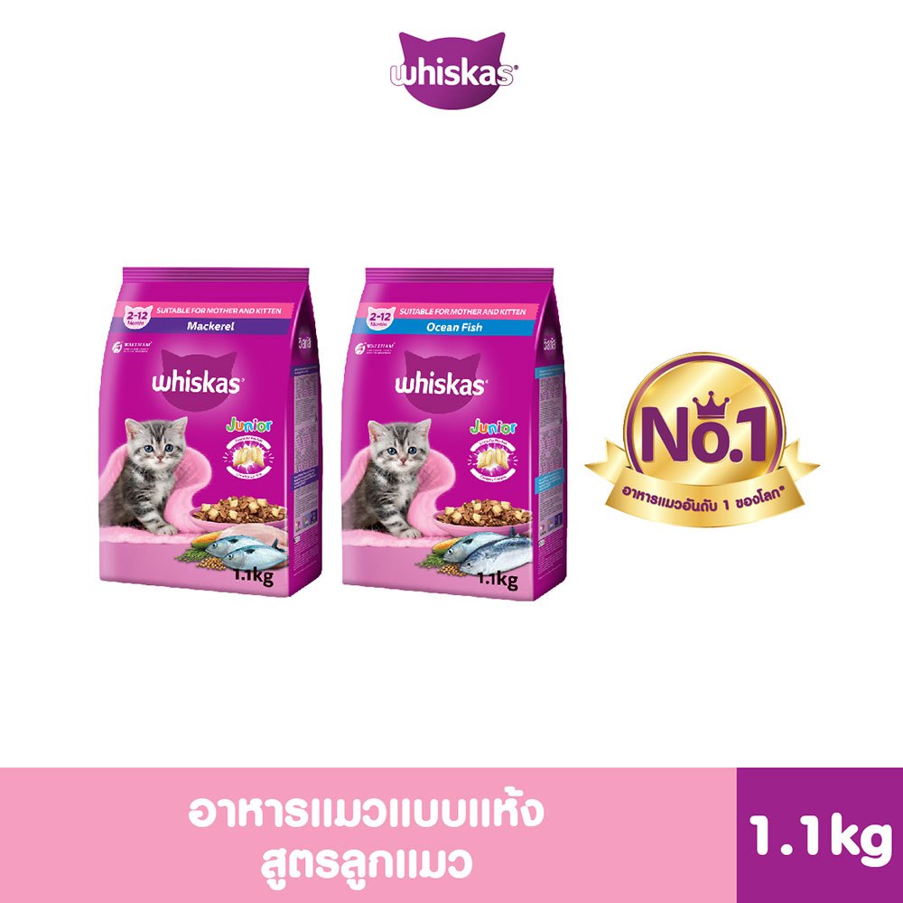 ภาพหน้าปกสินค้าอาหารลูกแมว WHISKAS Junior Dry หลากหลายรสชาติ ขนาด 1.1 กก. จากร้าน marspetcare_c บน Shopee