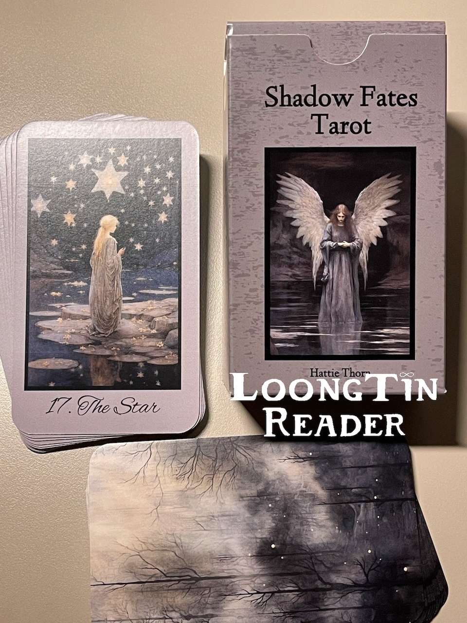 Shadow Fates Tarot by Hattie Thorn โปรดอ่านข้อมูลก่อนสั่ง ไพ่ทาโรต์ ไพ่ ...