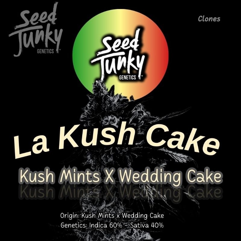 Seeds Junky clone LA Kush Cake Seeds Junky Shopee Thailand