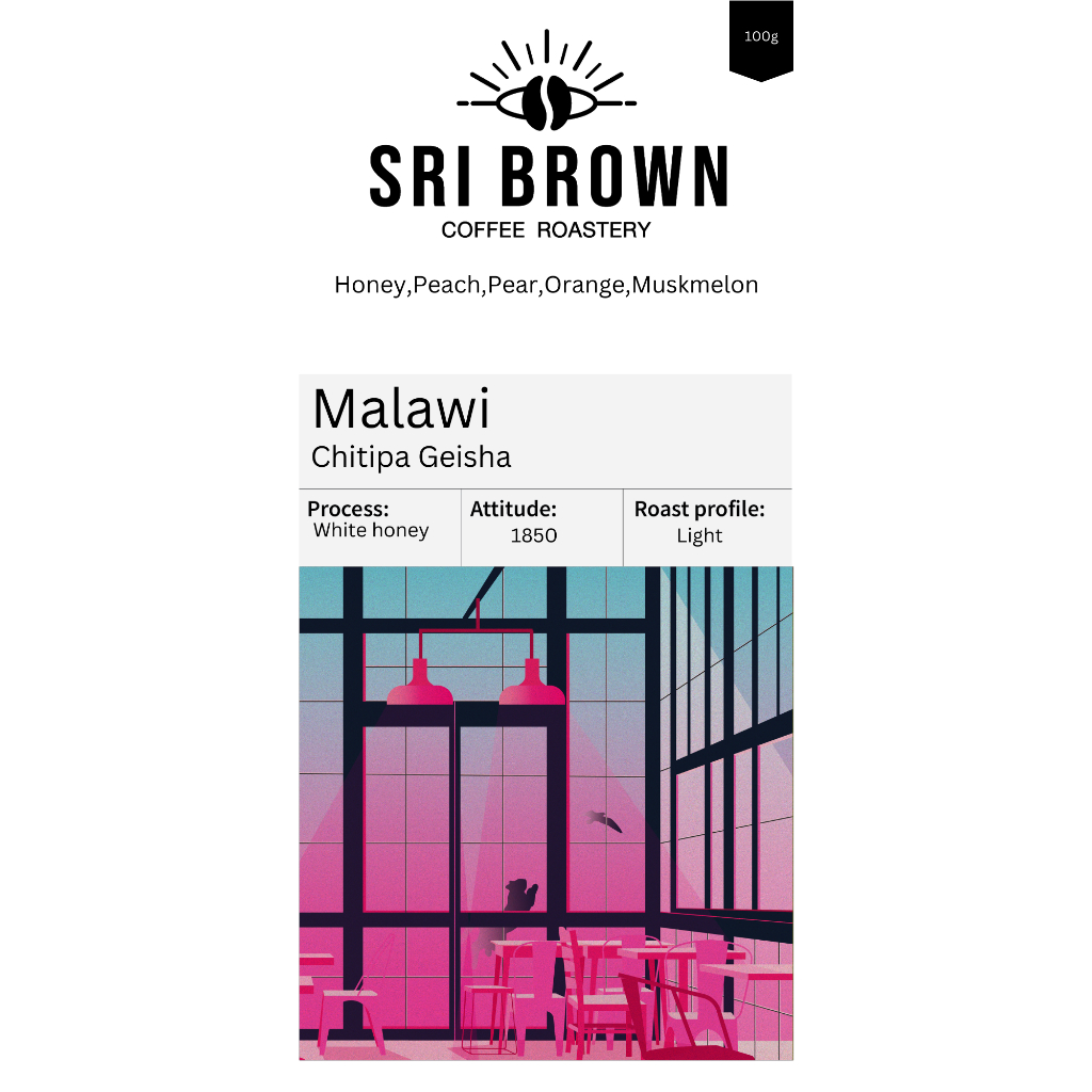 เมล็ดกาแฟคั่ว Malawi Chitipa Geisha บรรจุ 100 กรัม | Shopee Thailand