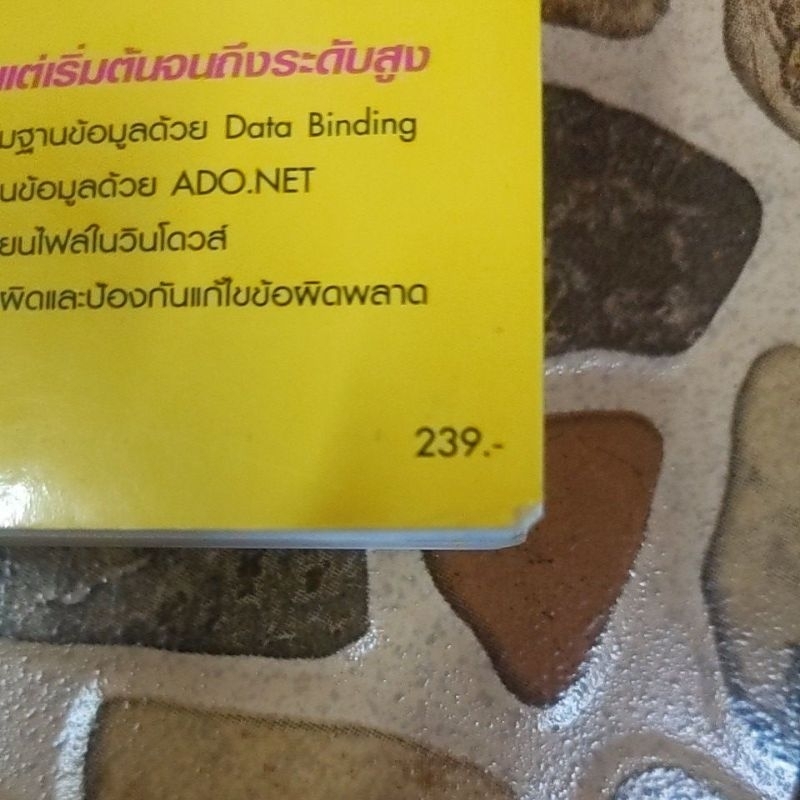 การเขียนแอพพลิเคชันด้วย Visual Basic 2017 | Shopee Thailand