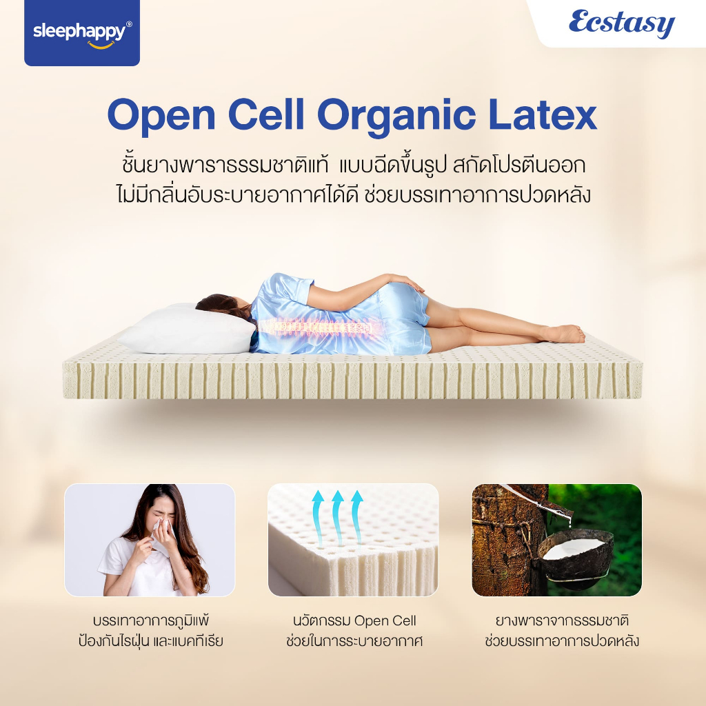 SleepHappy รุ่น Ecstasy ที่นอนพ็อกเก็ตสปริงผสานยางพารา หนา 12 นิ้ว เสริม Pillow top สัมผัสนุ่มแน่น ยกระดับการนอนเทียบเท่าโรงแรม 5 ดาว