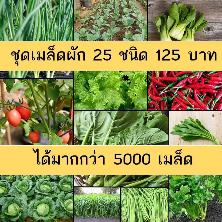 สินค้า 5