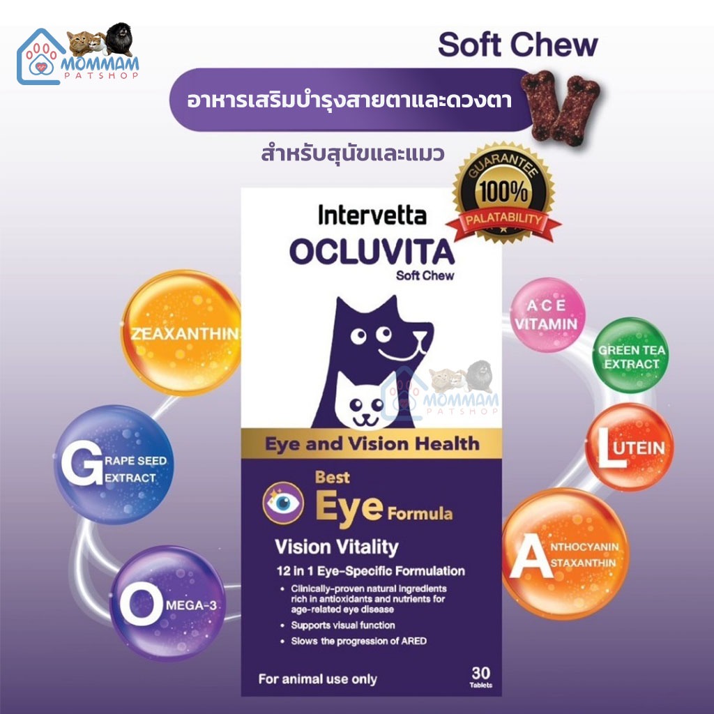 Intervetta Ocluvita อาหารเสริมเพื่อบำรุงสายตาและดวงตา สำหรับสุนัขและแมว ...