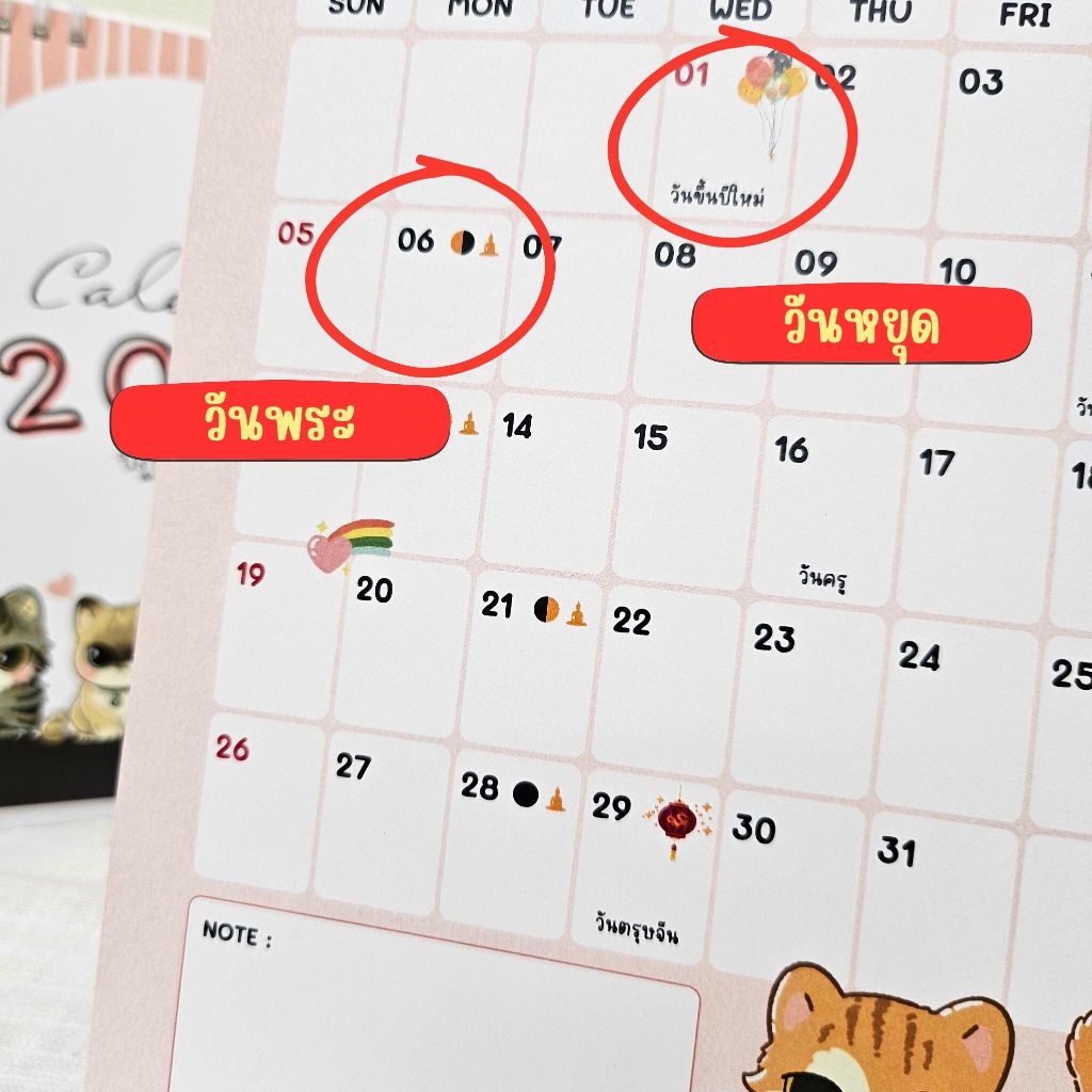 Calendar 2025 / ปฏิทินตั้งโต๊ะ 2568 ลาย Cat Pink แนวตั้ง ขนาด 8x6 นิ้ว (มีวันหยุดไทย, วันพระ