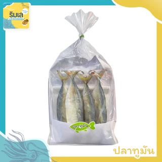 ปลาทูมัน ไซส์เล็ก สินค้าใหม่  ของฝากจากบ้านเพระยอง photo