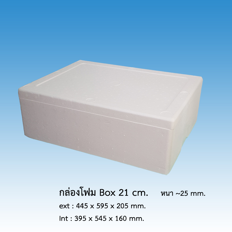 กล่องโฟม ลังโฟม BOX 21cm. *จำกัด4ใบต่อ1คำสั่งซื้อ* | Shopee Thailand