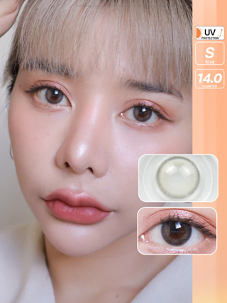 Honey bee (Gray) ค่าสายตา 0.00-10.00 คอนแทคเลนส์