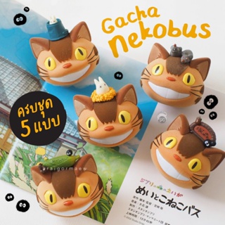 🚌พร้อมส่งแบบครบชุด!🚌 ลิขสิทธิ์แท้ Studio Ghibli กาชาปองน้องแมว Neko Bus / Cat Bus ครบชุด สะสมแหวนครบ 5 แบบ