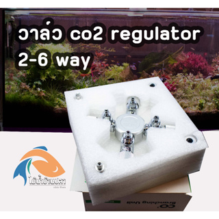 หัวต่อแยกวาล์ว co 2 splitter regulator  2-6 way (Co2 Regulator)