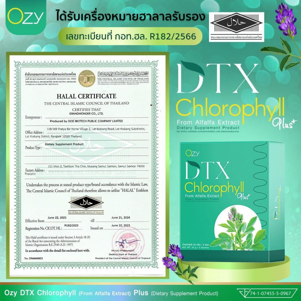 โปร-2-ฟรี-2-ozy-dtx-cholorophyll-โอซี-ดีทีเอ็กซ์-คลอโรฟิลล์-พลัส-หนิง-ปณิตา-โปร-2-กล่องแถม-2-กล่อง