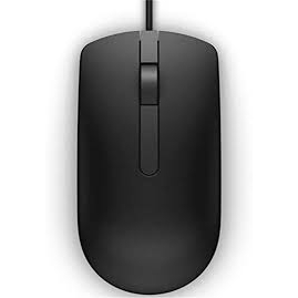 mouse-เมาส์-usb-dell-ms116p-optical-black-usb-1000-dpi-scroll-wheel-mouse-09nk2