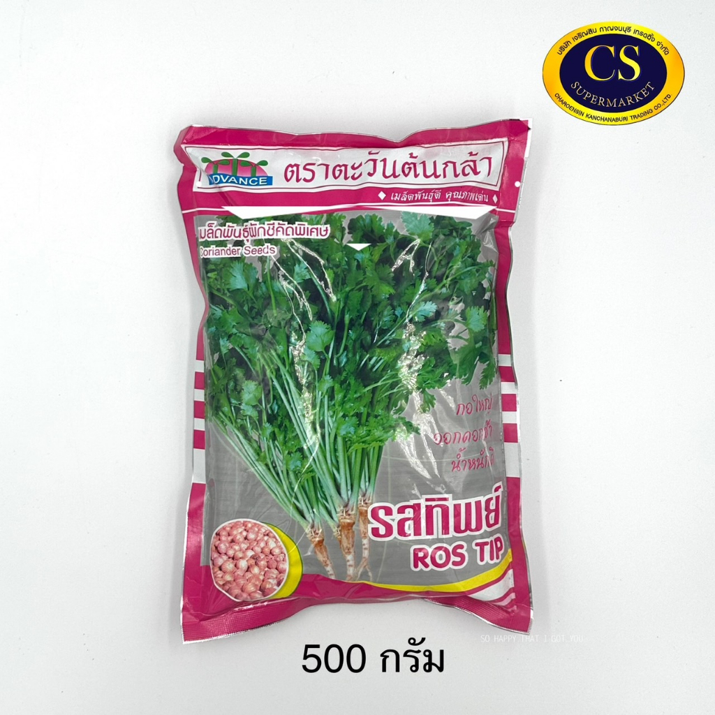 เมล็ดพันธ์ผักชีคัดพิเศษ-ตรา-ตะวันกล้า-500-กรัม