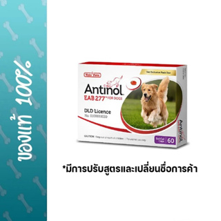 Antinol DOG ช่วยบำรุงข้อ กระดูก ขน ผิวหนัง และไต(1 กล่อง 60 caps) สำหรับสัตว์เลี้ยง EXP.03/2025