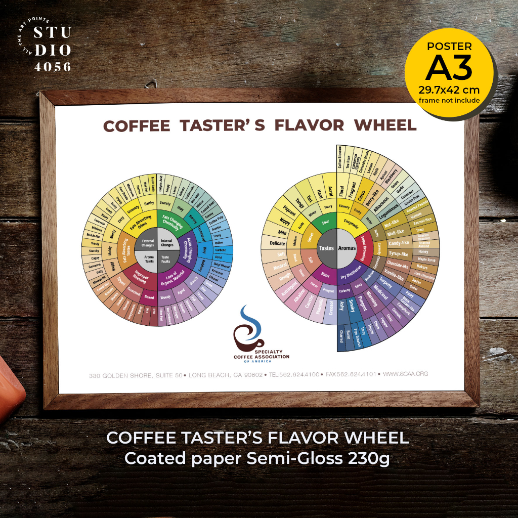 THE COFFEE TASTER'S FLAVOR WHEEL POSTER SCA (001) size A3 Unframed
