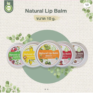 สินค้า Ira Natural Lip Balm กลิ่น ข้าวเหนียวมะม่วง ลิปแก้ปากดำ ลิปบาล์มไอรา ลิปมันแก้ปากดำ ลิปออแกนิค ลิปบาล์มออแกนิค