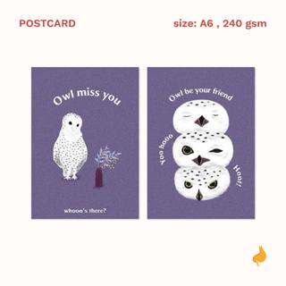 Owl Postcard โปสการ์ดนกฮูก🦉 | a cat in my tummy