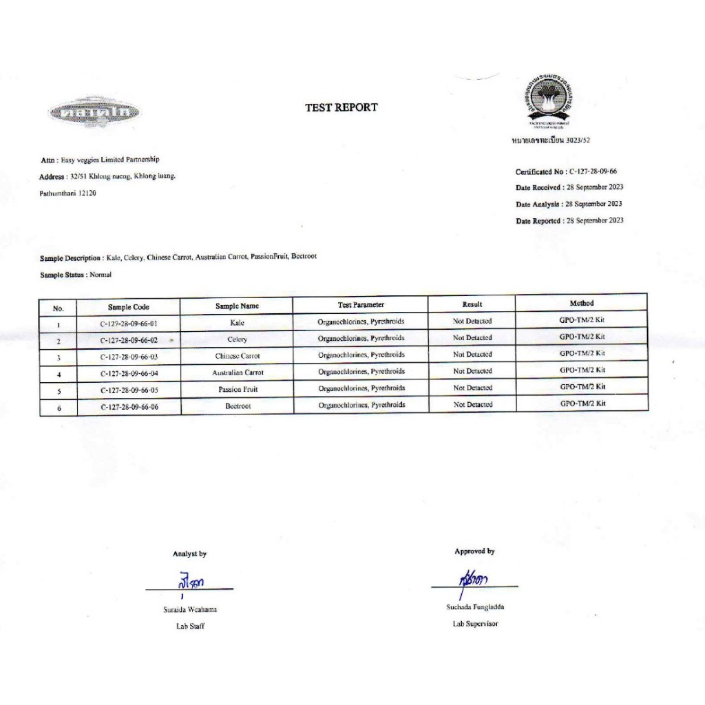 ชุดรวมผักผลไม้สำหรับปั่นน้ำสุขภาพ-5-ชนิด-มีใบรับรองปลอดสารพิษ