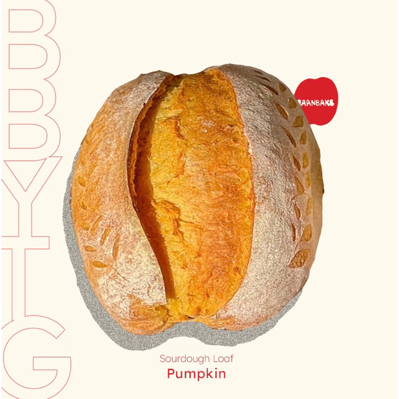 pumpkin-sourdough-bread-ขนมปังเปลือกแข็งยีสต์ธรรมชาติรสฟักทอง-มี่ราคาขายส่งสำหรับร้านค้า