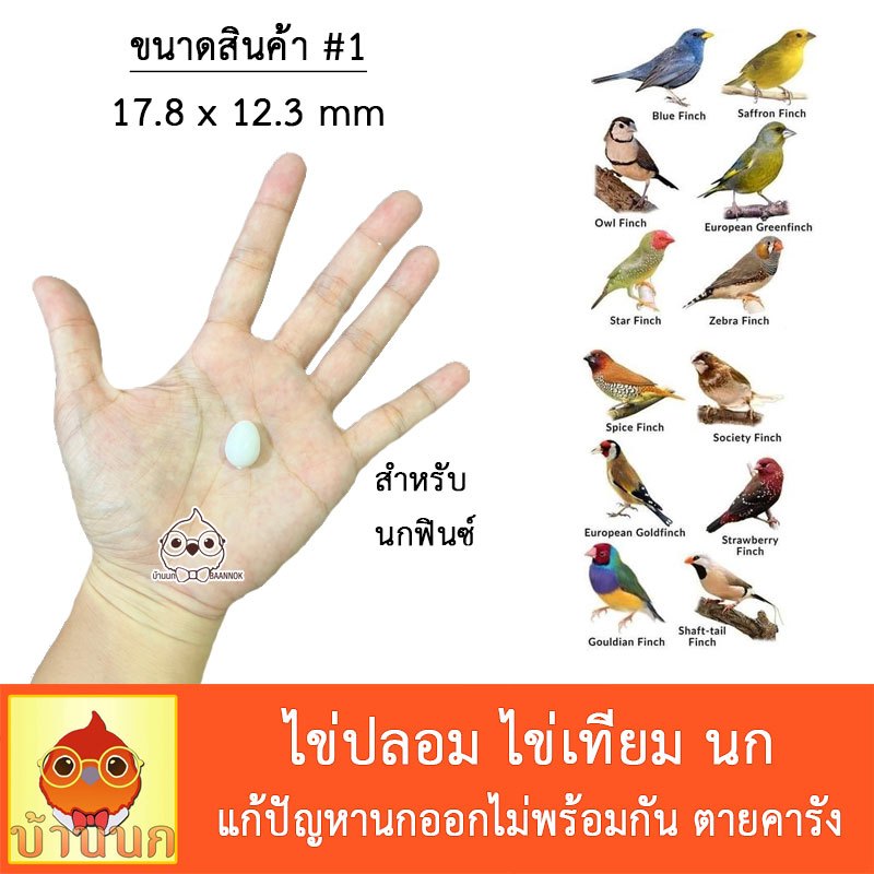 th-11134207-7r992-ln0yww95v1qrfe