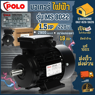 มอเตอร์ POLO (A Series) ชนิดความเร็วรอบสูง รุ่น MS 8022 กำลัง 1.12 กิโลวัตต์ 1.5 แรงม้า 3 เฟส 380 โวลต์