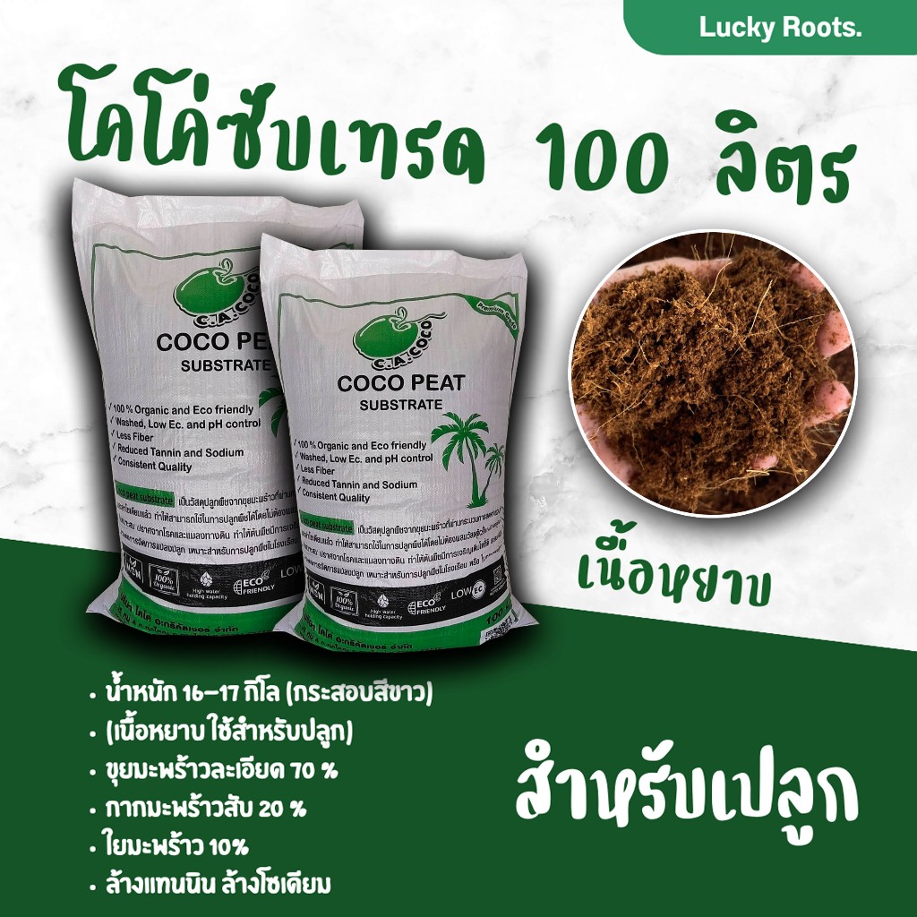 โคโค่ซับเทรด 100 ลิตร (Coco peat Substrate) | Shopee Thailand