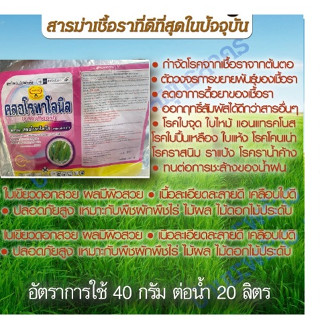 คลอโรทาโลนิล 1 Kg สารกำจัดโรคราในพืชออกฤทธิ์สัมผัสที่ดีที่สุด  จบราจากสาเหตุ โรคใบจุด ใบไหม้ แอนแทรคโนส ป้องกันราดื้อยา