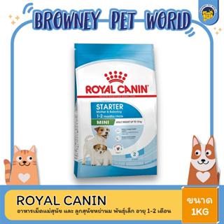 Royal Canin Mini Starter Mother & Baby Dog 1kg อาหารเม็ดแม่สุนัข และ ลูกสุนัขหย่านม พันธุ์เล็ก อายุ 1-2 เดือน (Dry Dog F