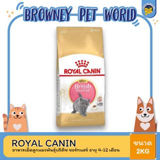 Royal Canin Kitten British Shorthair 2kg อาหารเม็ดลูกแมวพันธุ์บริติช ชอร์ทแฮร์ อายุ 4-12 เดือน (Dry Cat Food, โรยัล คาน