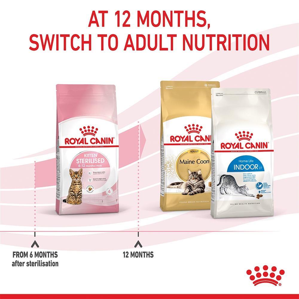royal-canin-kitten-sterilised-400g-อาหารเม็ดลูกแมวหลังทำหมัน-อายุ-6-12-เดือน-dry-cat-food-โรยัล-คานิน