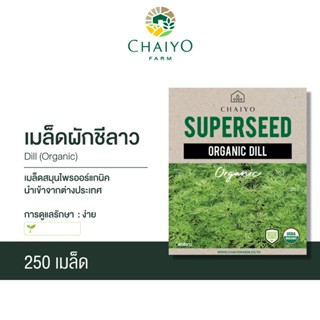 เมล็ด DILL (Organic) ผักชีลาว