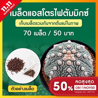 เมล็ดแคคตัส แอสโตรมิกซ์ ชุดล่ะ 70+ เมล็ด (Astrophytum Mix)