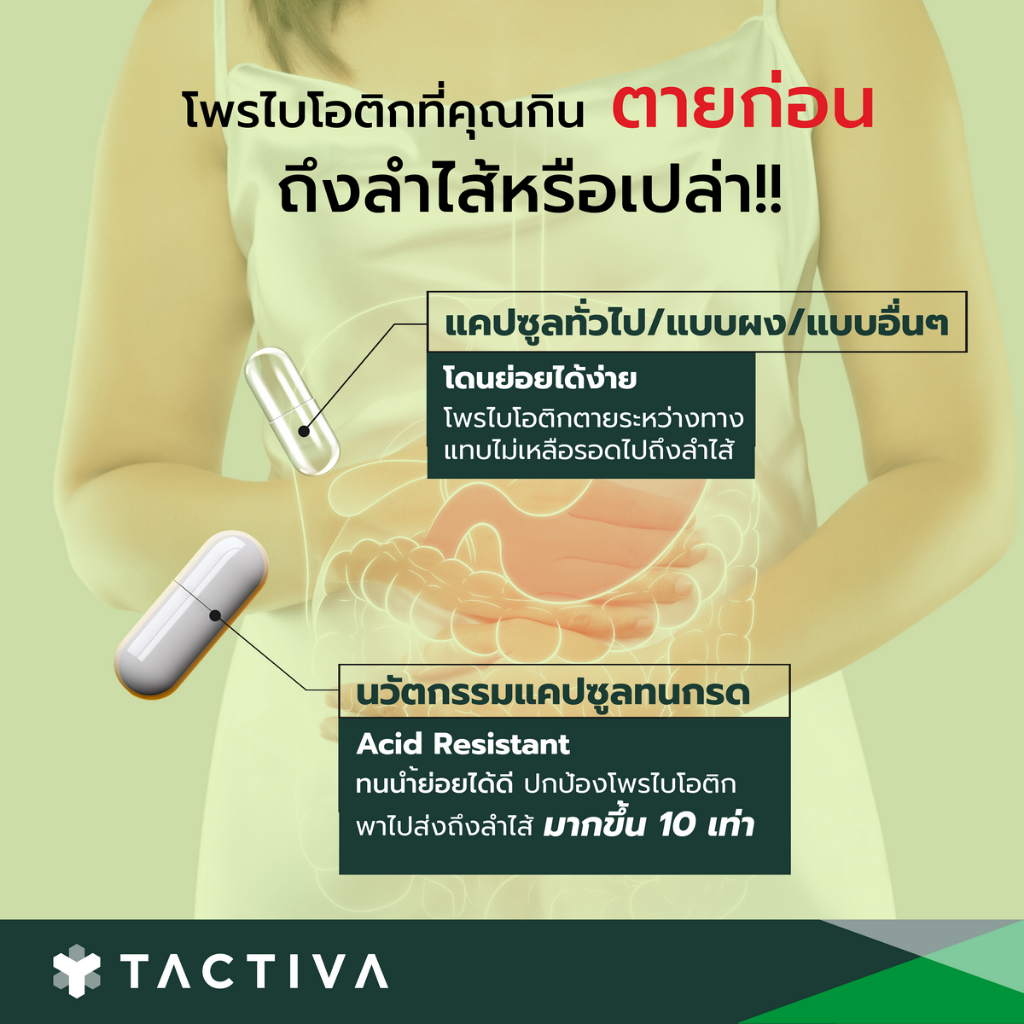 แทคติวา โพรไบโอติก เดลี่อัพ 15 แคปซูล สูตรเริ่มต้น (Tactiva DAILY UP ...