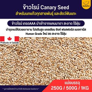 สินค้า ข้าวไรย์ Canada Canary Seed อาหารนกแก้ว และสัตว์พันแทะ ข้าวไรน์บำรุงให้ขนสวย มันเงา (แบ่งขาย 250G / 500G / 1KG)