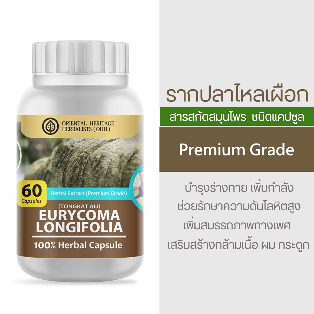 รากไหลเผือก Eurycoma Longifolia Herb Capsule Extract 100% (เกรดพรีเมี่ ...