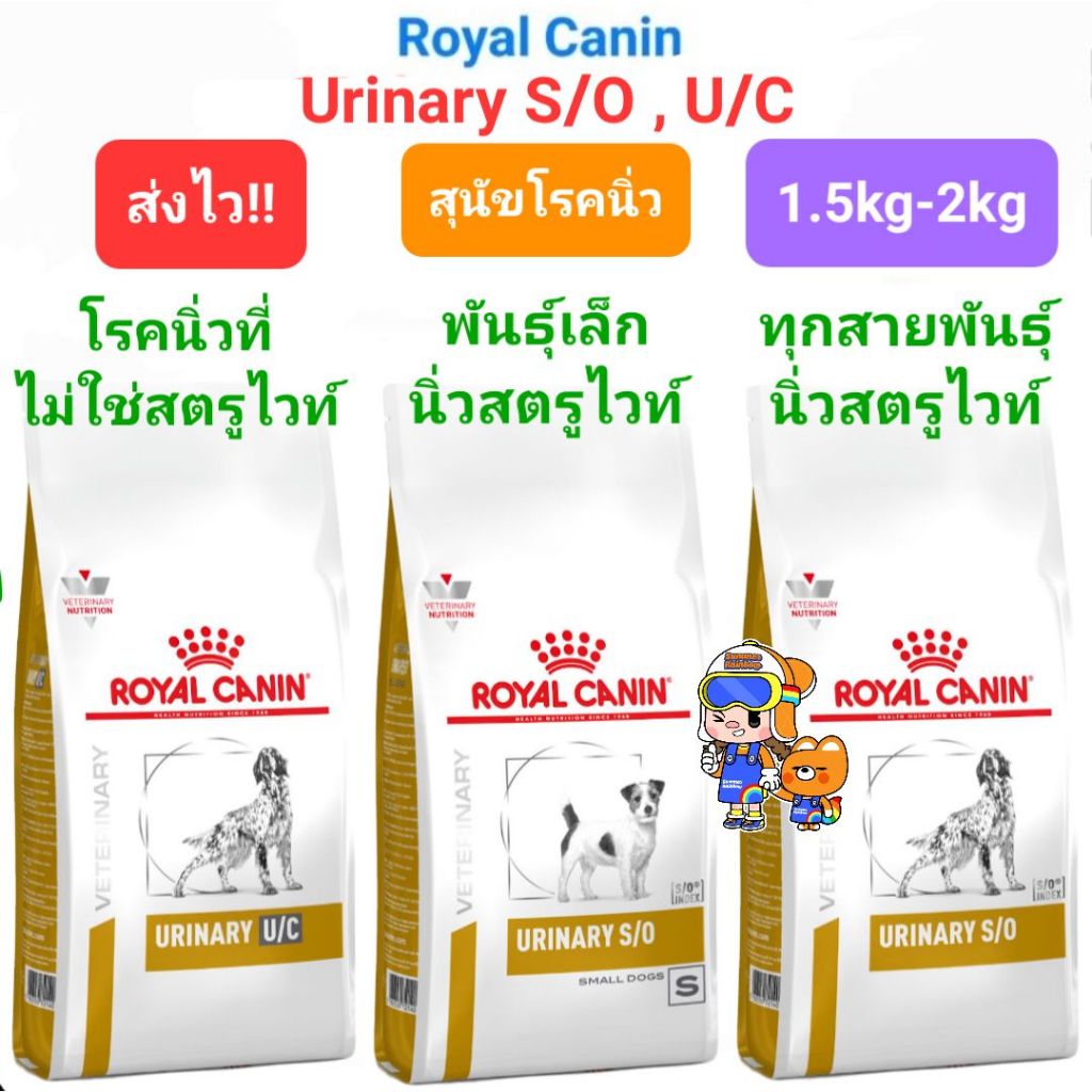 Royal Vet Canine Urinary S/O Small - Comida Para Perros Razas Pequeñas, 8kg, Salud Urinaria, Con Arándano