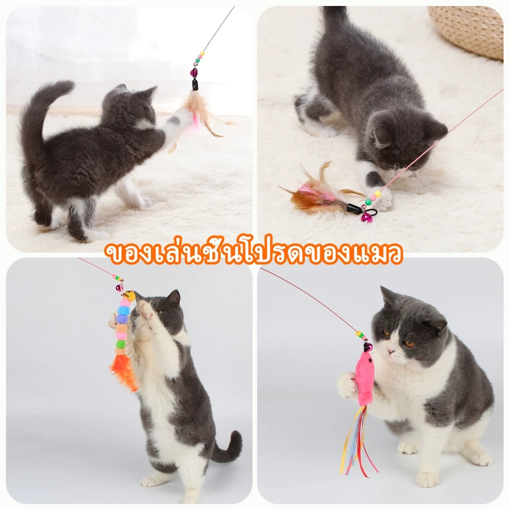 ดูรายละเอียดสินค้า