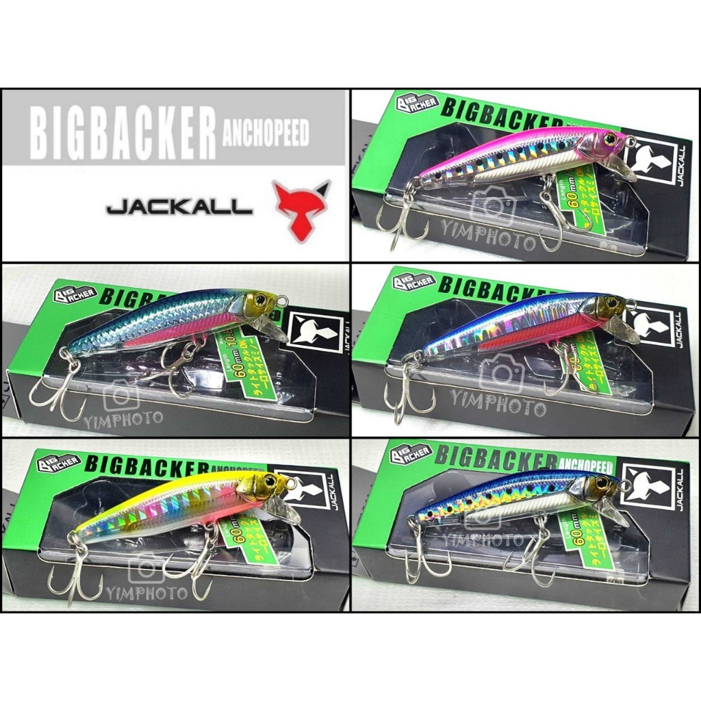 Leurre Coulant Jackall Big Backer Anchopeed 84 Mm – 27g Iwashi (3218)