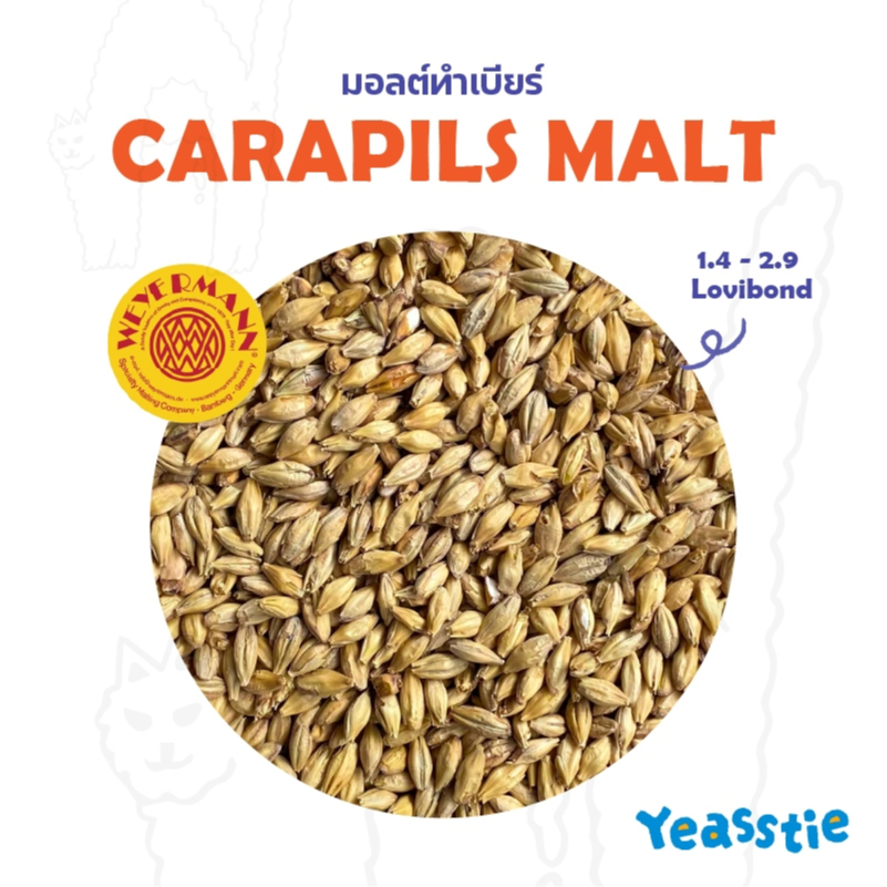 มอลต์ Carapils, Melanoidin, Acidulated Malt มอลต์ทำเบียร์ Homebrew 1 ...