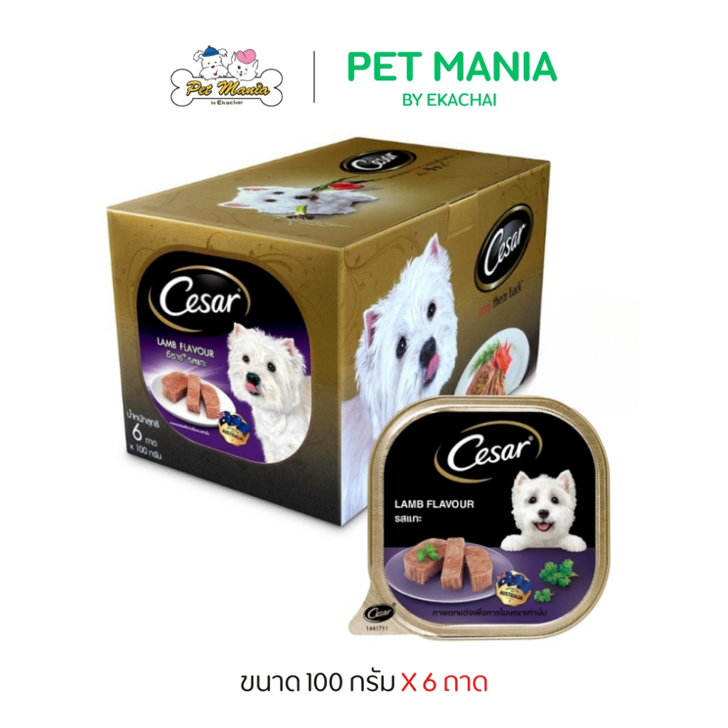CESAR® Dog Food Wet Tray Multipack Lamb Flavour 6ถาดซีซาร์®อาหารสุนัข ...