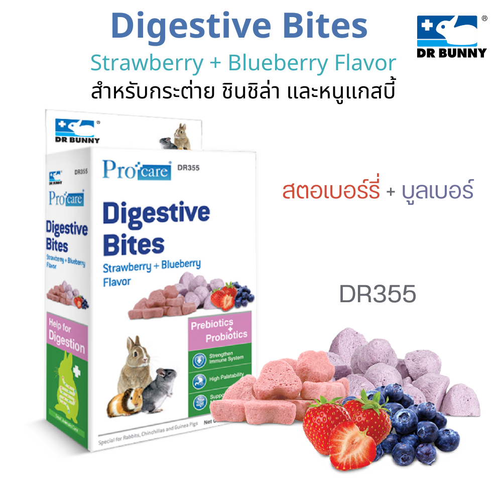 Dr.Bunny DR355 Digestive Bites ขนมเพื่อสุขภาพของกระต่าย และสัตว์เล็ก ...
