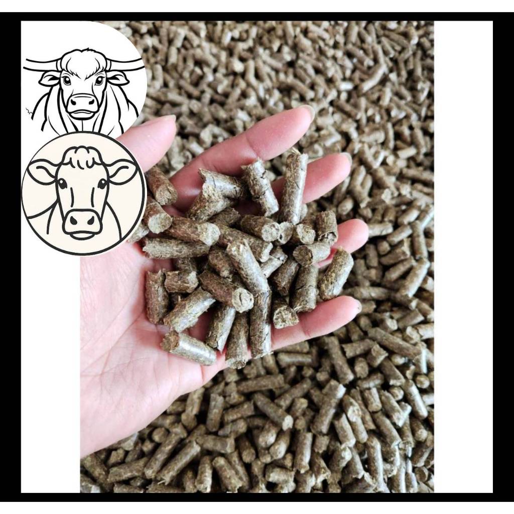 th 11134207 7ra0h mbjgyay5l021d6