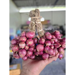 หอมแดง ศรีสะเกษ [500 กรัม] (ครึ่ง กก.) หอมมัดคละไซส์ photo