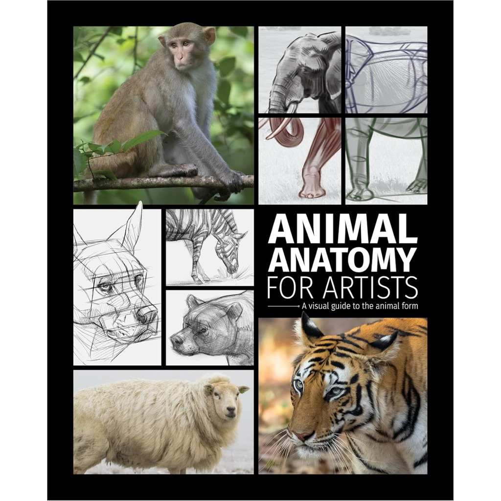 [ Pre-Order ] *กรุณาอ่านรายละเอียดก่อนสั่งซื้อ* Animal Anatomy for ...